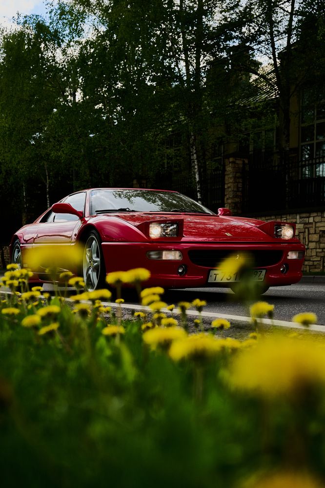 Photograph by Adler Roman