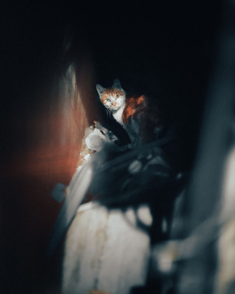 Photograph by Demir Deniz