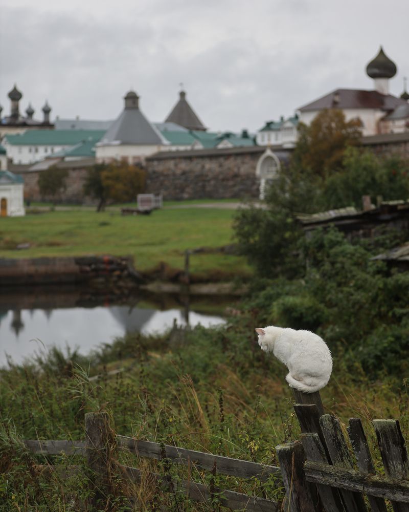 Photograph by Aleksey Rukin