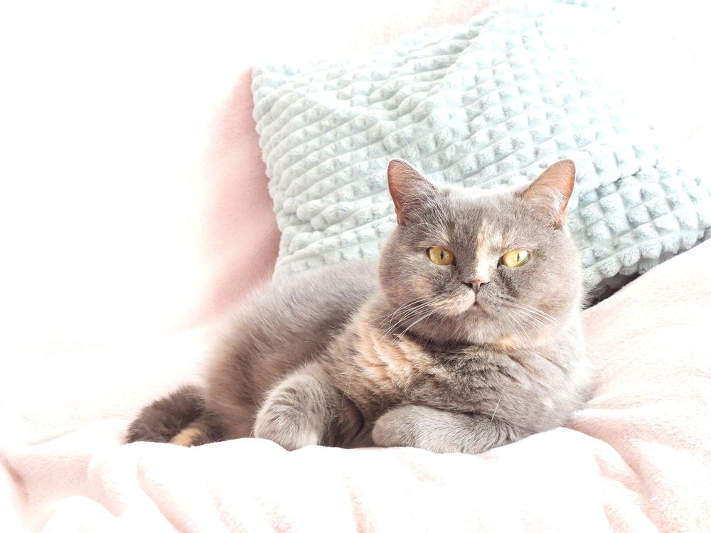 Photograph by Виктор Бута