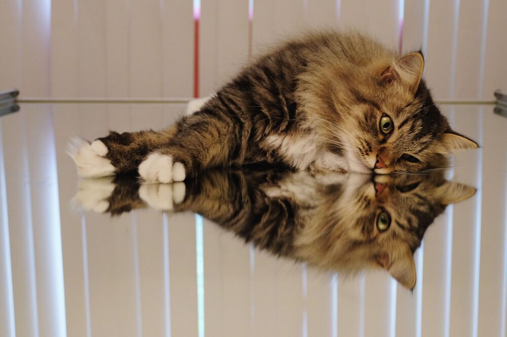 Photograph by Вадим Зрюев