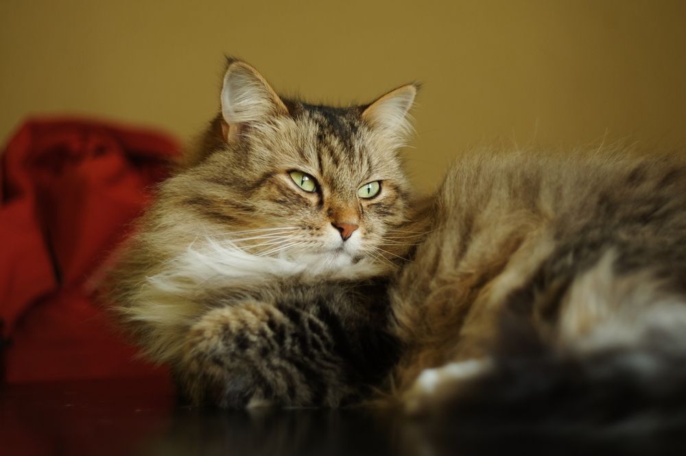 Photograph by Вадим Зрюев