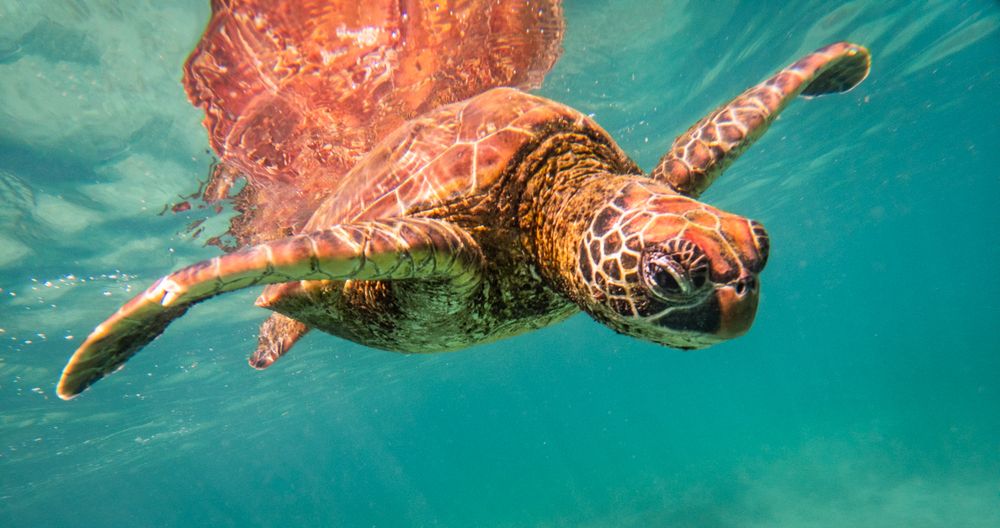 Photograph by Лозицкий Александр