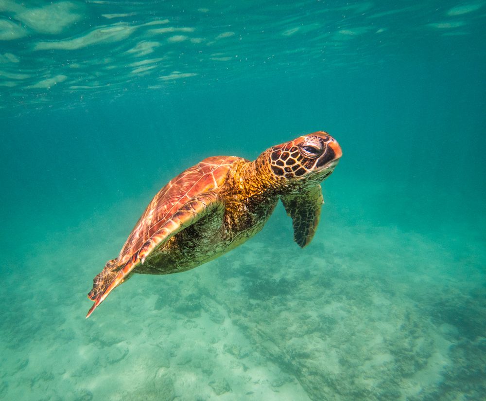 Photograph by Лозицкий Александр