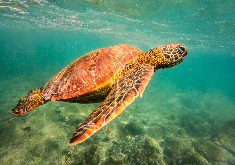 Photograph by Лозицкий Александр