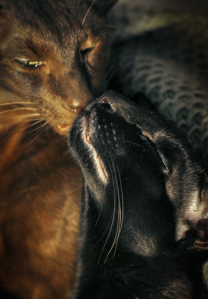 Photograph by Рыжова Александра