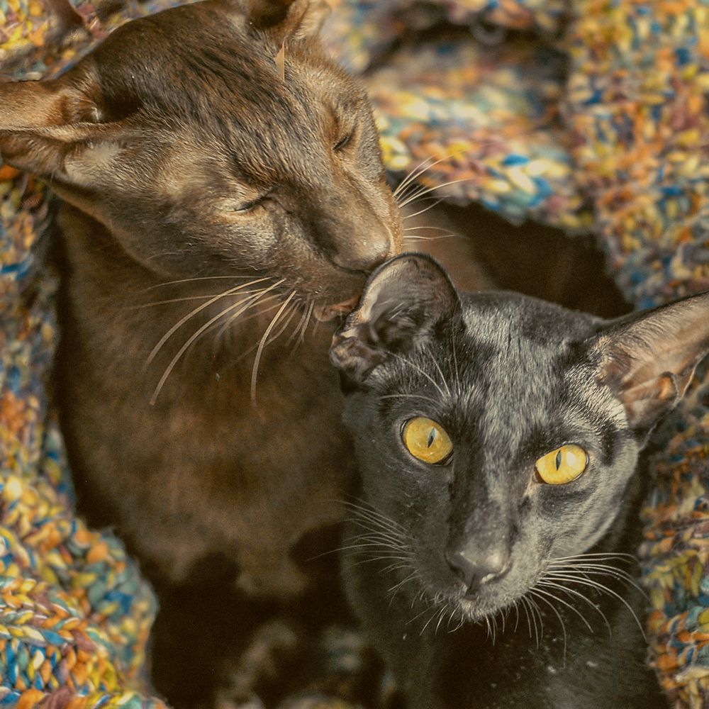 Photograph by Рыжова Александра