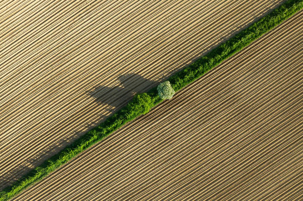 Photograph by Michael Firmbach