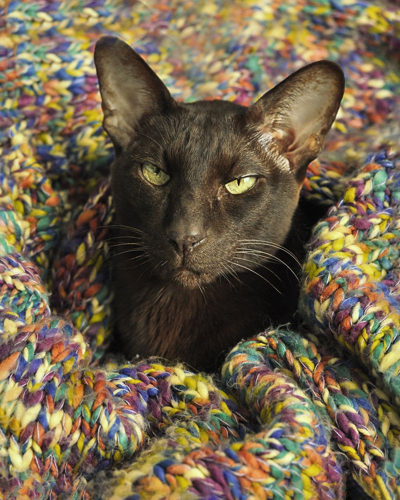 Photograph by Рыжова Александра