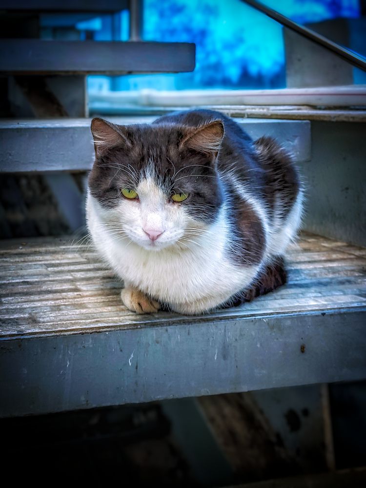 Photograph by Олега Тор