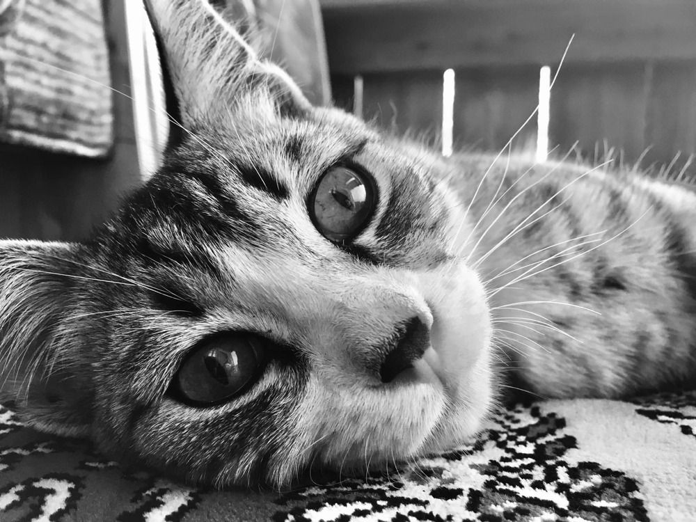 Photograph by Марина Романцова