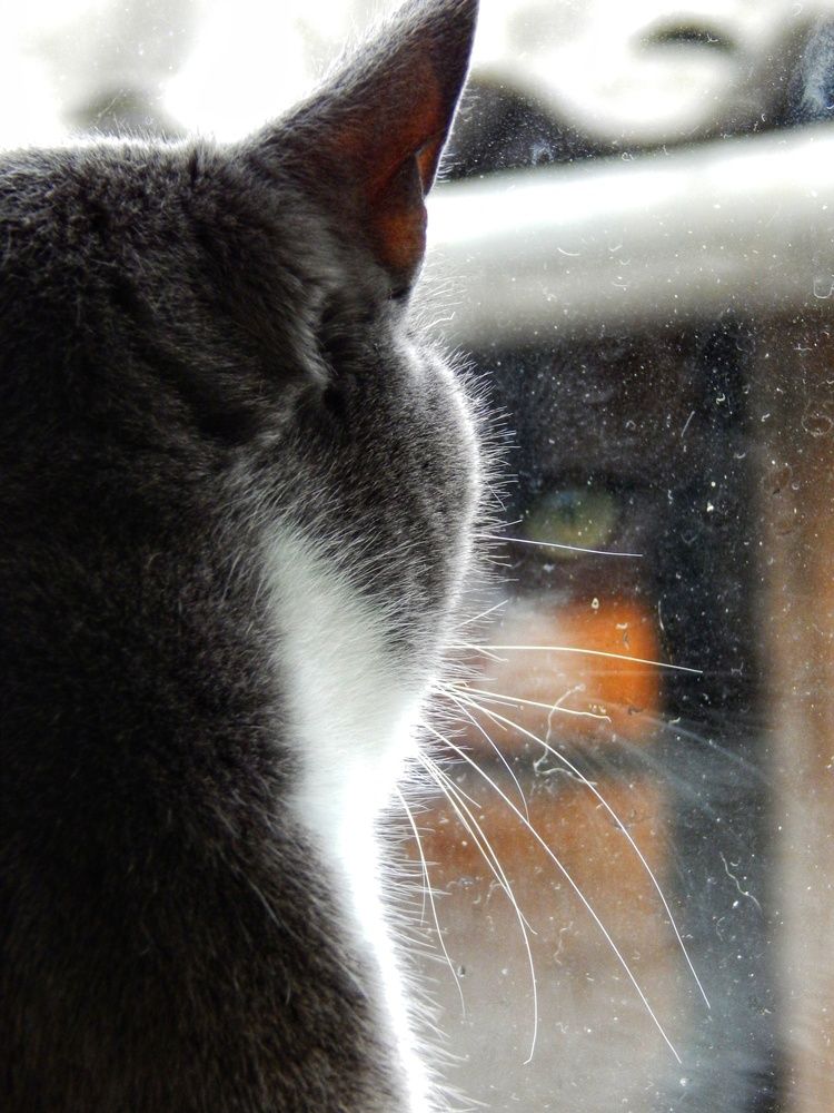 Photograph by Марина Мирошкина