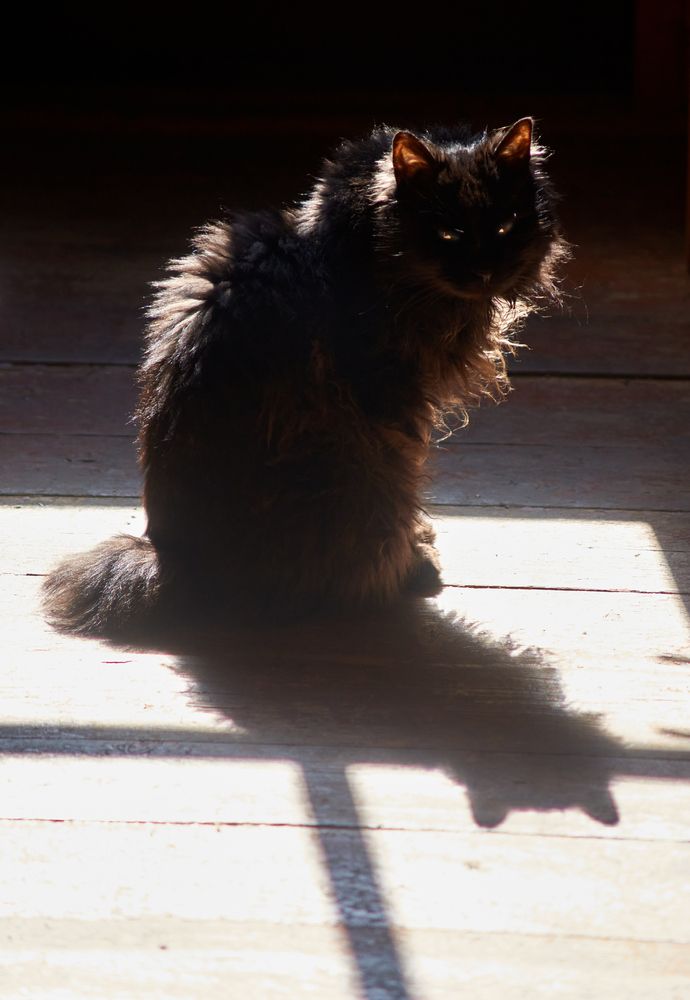 Photograph by Иван Бондаренко