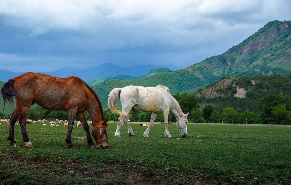 Photograph by Юрий Киреичев