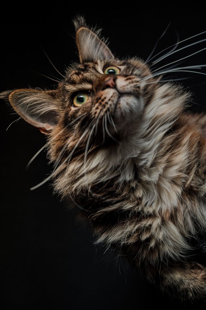 Photograph by Valerijs Kuznecovs