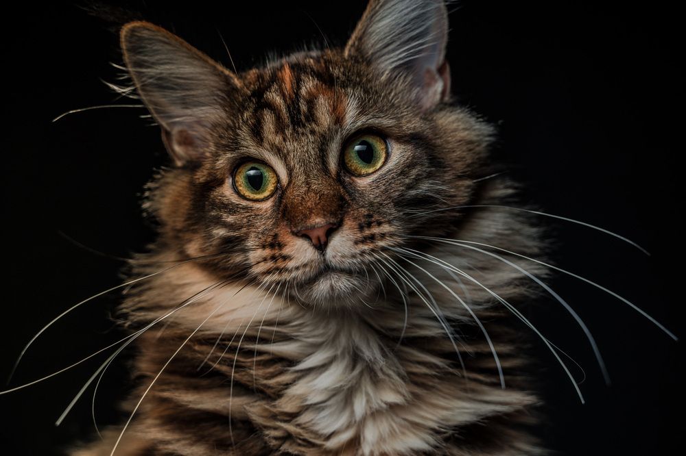 Photograph by Valerijs Kuznecovs