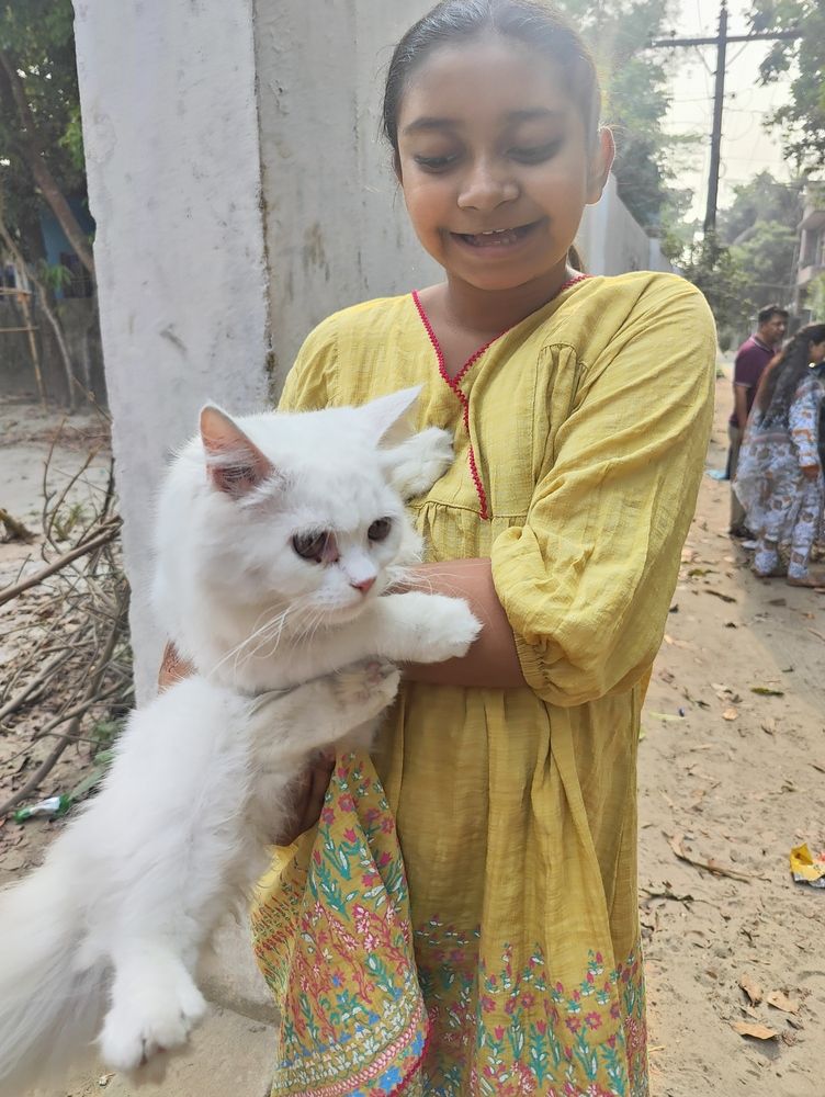 Photograph by Neel Bonna