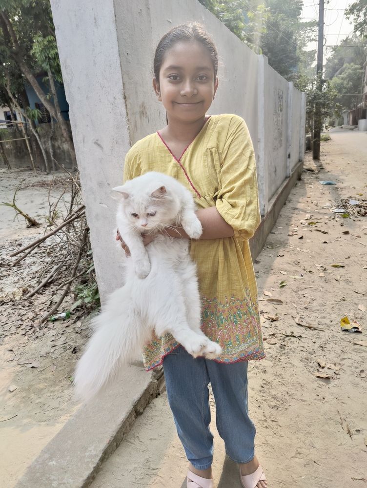 Photograph by Neel Bonna