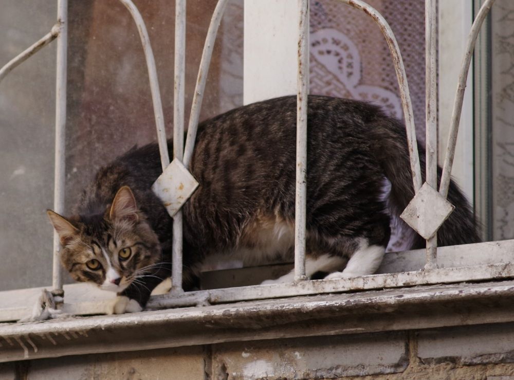 Photograph by Андрей Корытов