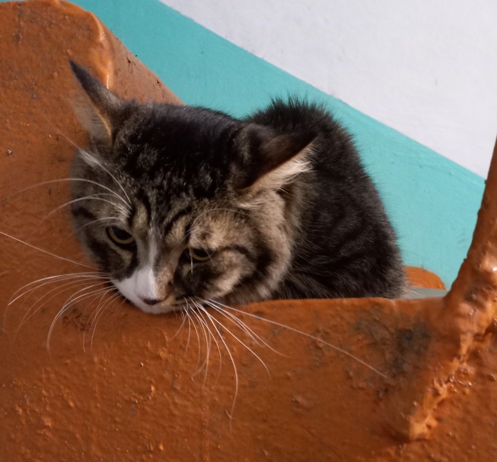 Photograph by Андрей Корытов