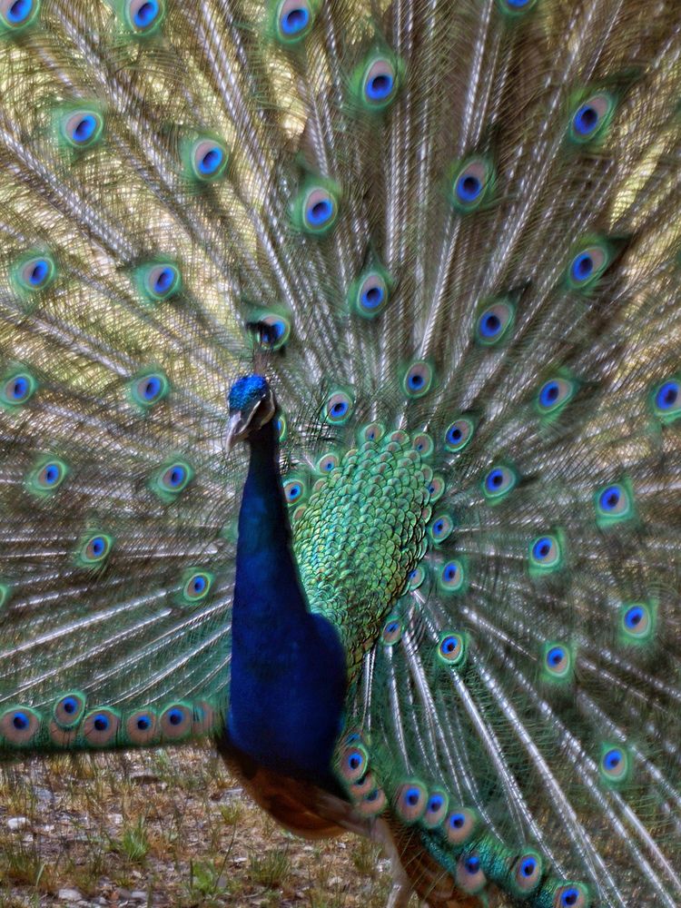 Photograph by Dimitris Lapousis