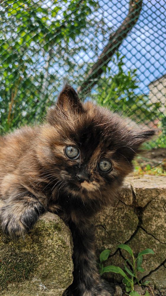 Photograph by Виталий Шмачко