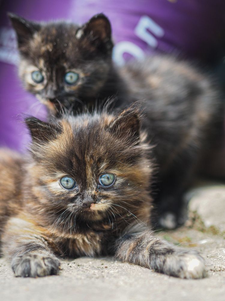 Photograph by Виталий Шмачко