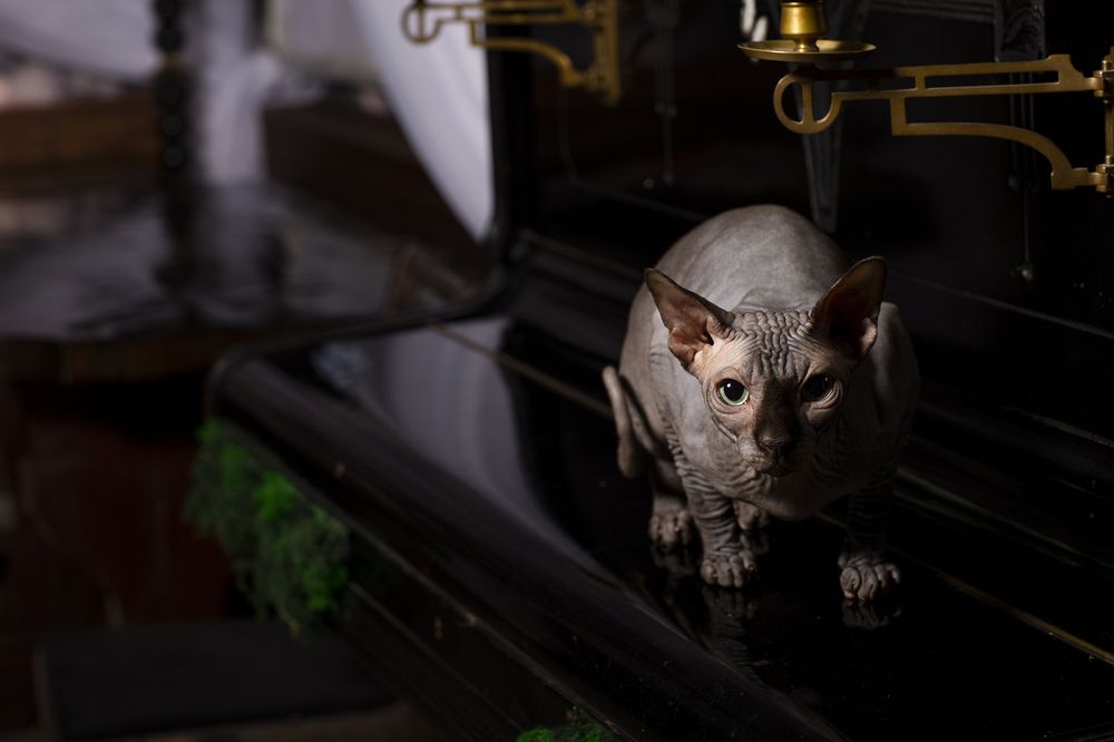 Photograph by Татьяна Мурзенко