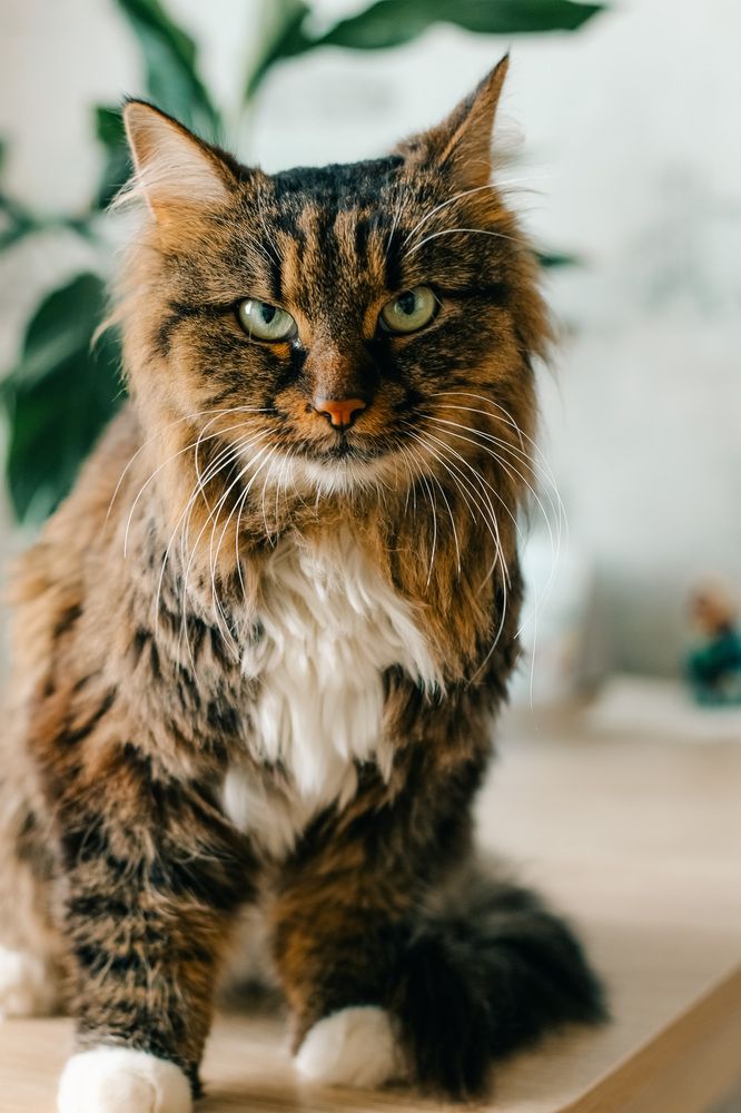 Photograph by Дарья Андреева