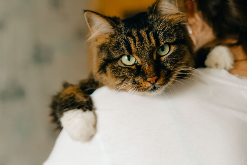 Photograph by Дарья Андреева