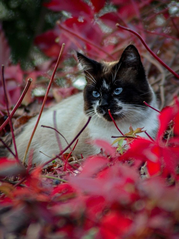 Photograph by Евгения Россоловская