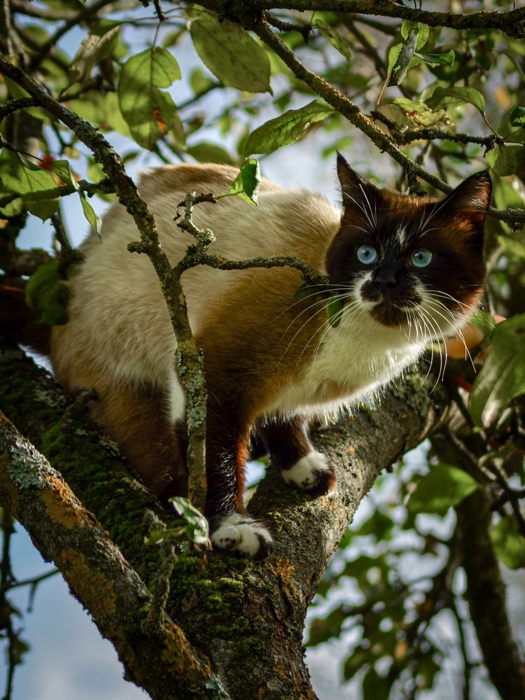 Photograph by Евгения Россоловская