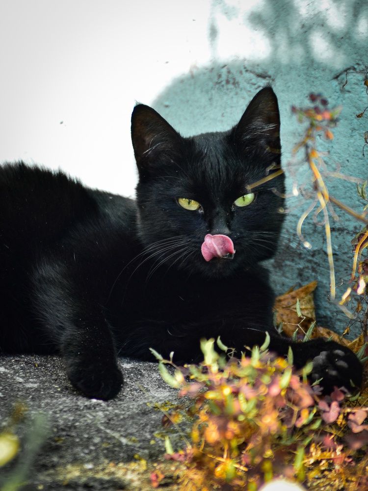 Photograph by Евгения Россоловская