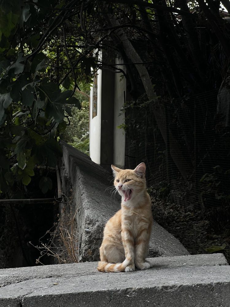 Photograph by Игорь Лещинский