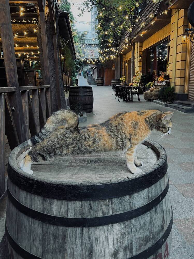 Photograph by Игорь Лещинский