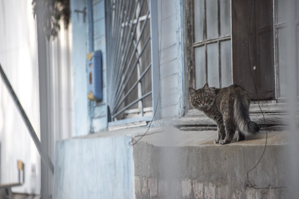 Photograph by Артем Шумов