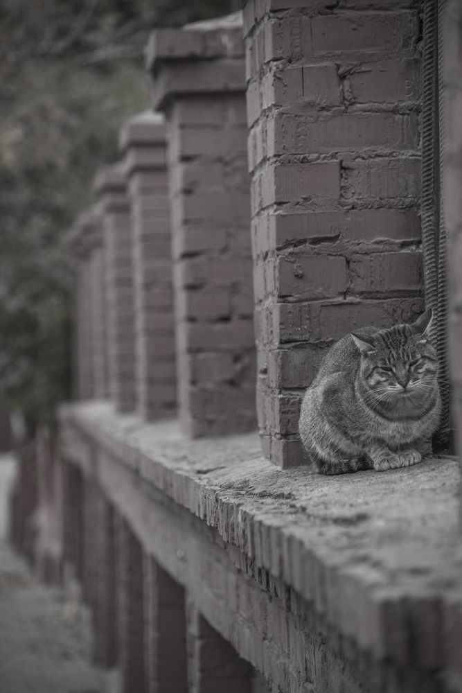 Photograph by Артем Шумов