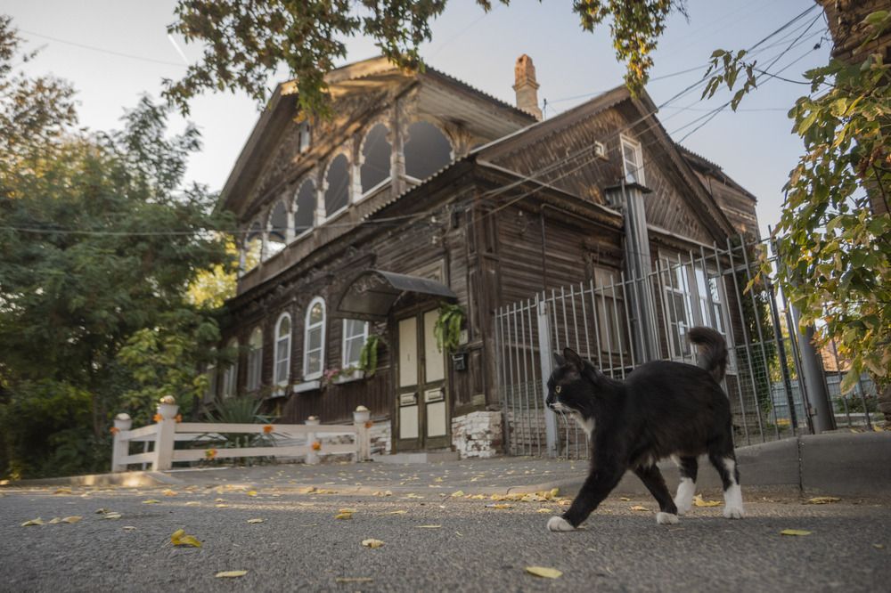 Photograph by Артем Шумов