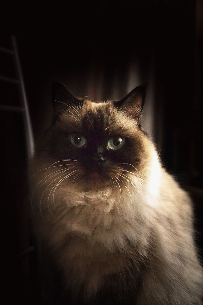 Photograph by Юлия Гетманская