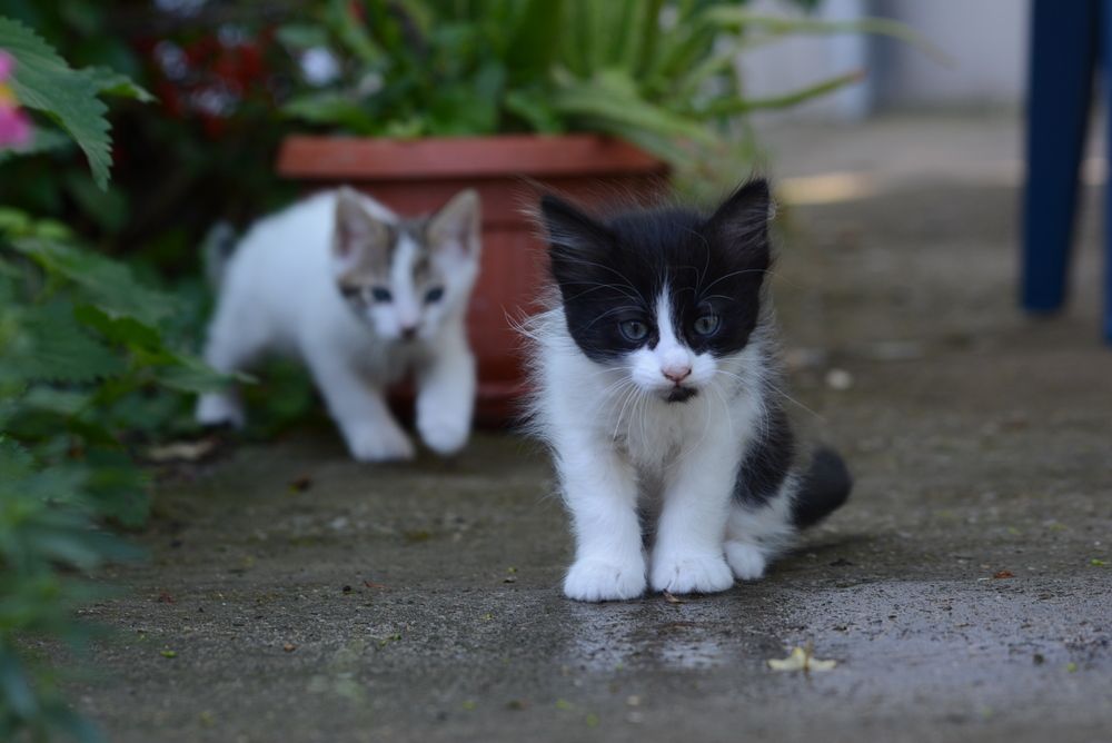 Photograph by Gülşen  Mutlu