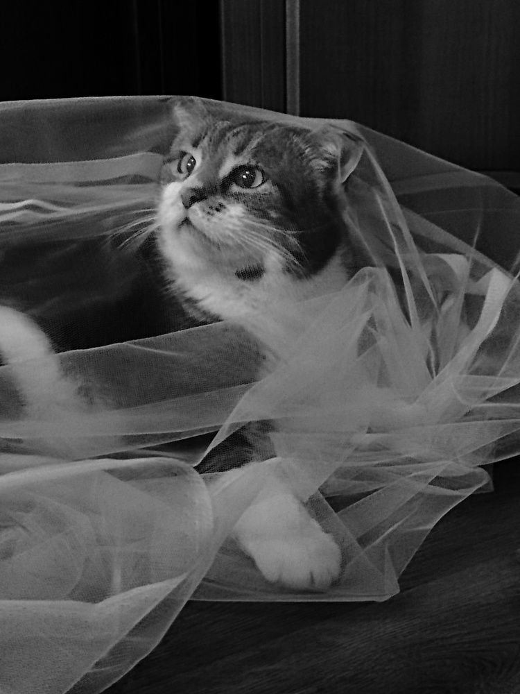 Photograph by Ирина