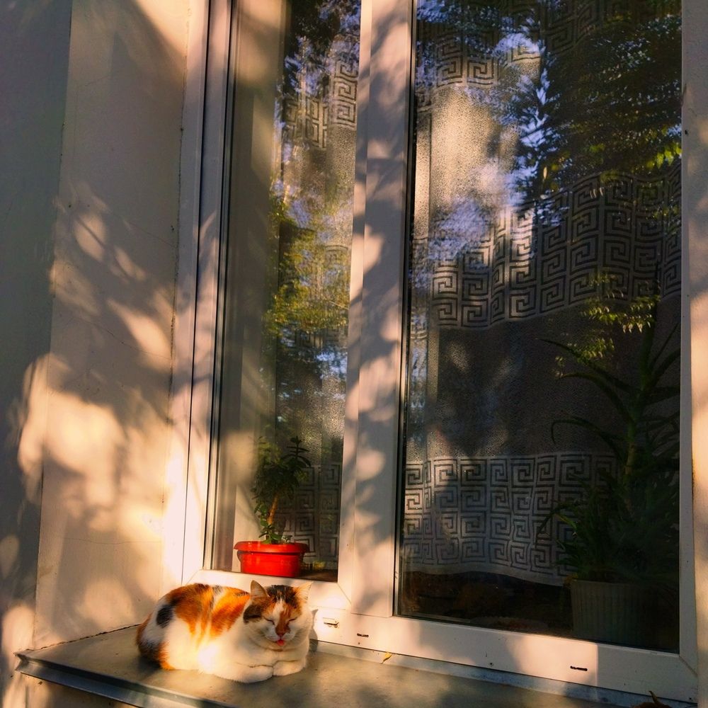 Photograph by Ирина Бухалова