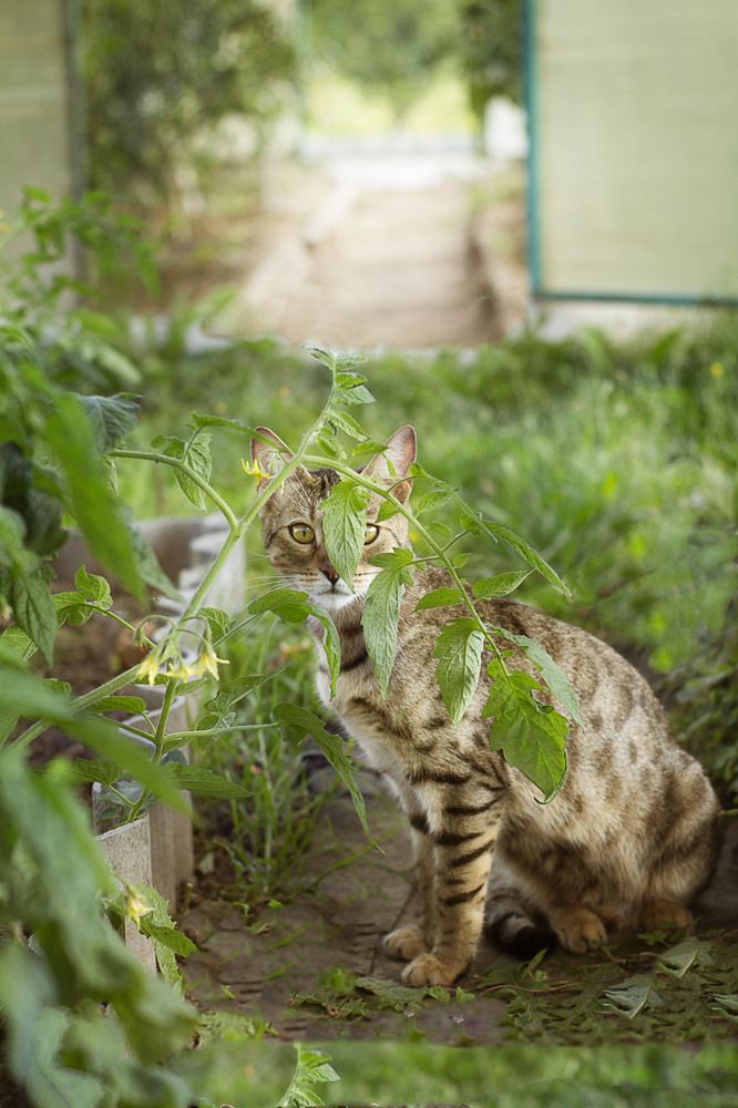 Photograph by Ирина Анцыгина