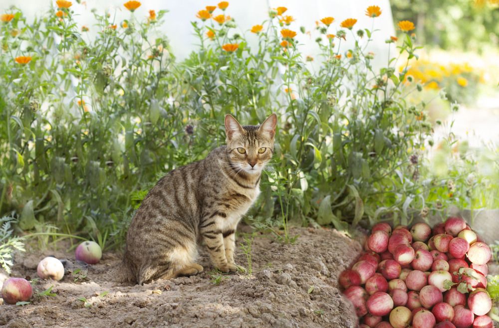 Photograph by Ирина Анцыгина