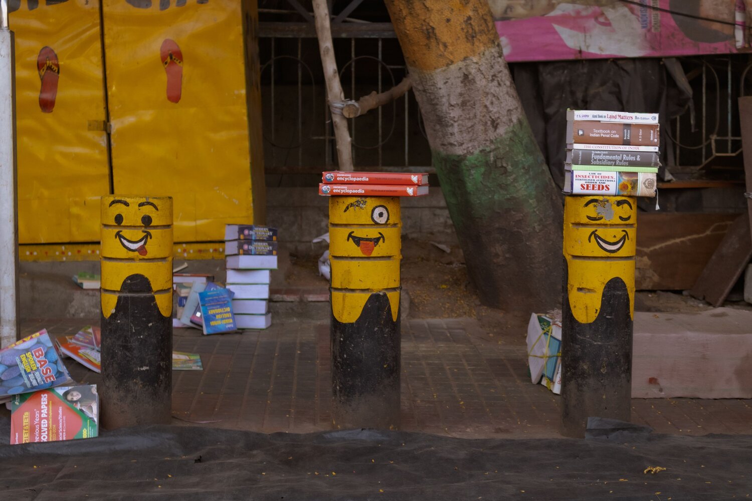Photo #12232243