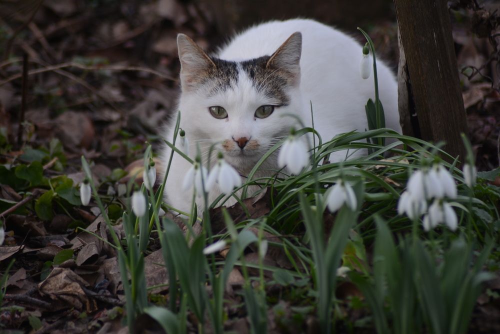 Photograph by Gülşen  Mutlu
