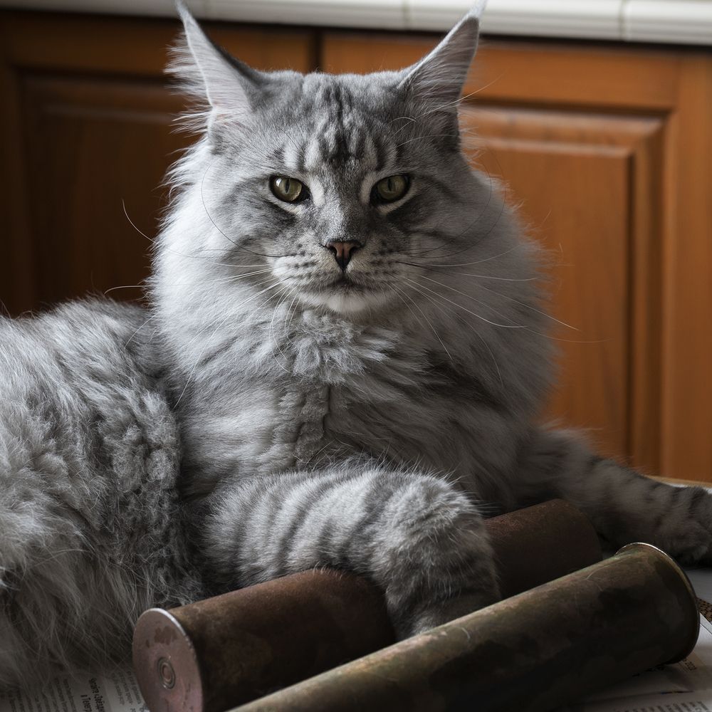 Photograph by Александр Луппов