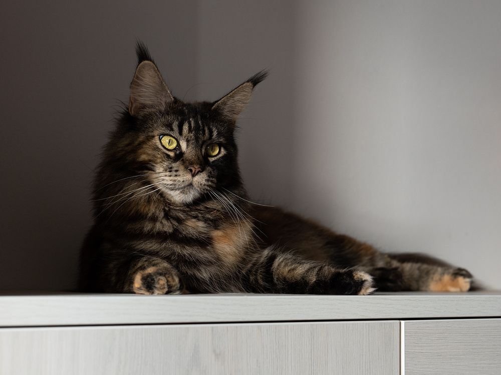 Photograph by Александр Луппов