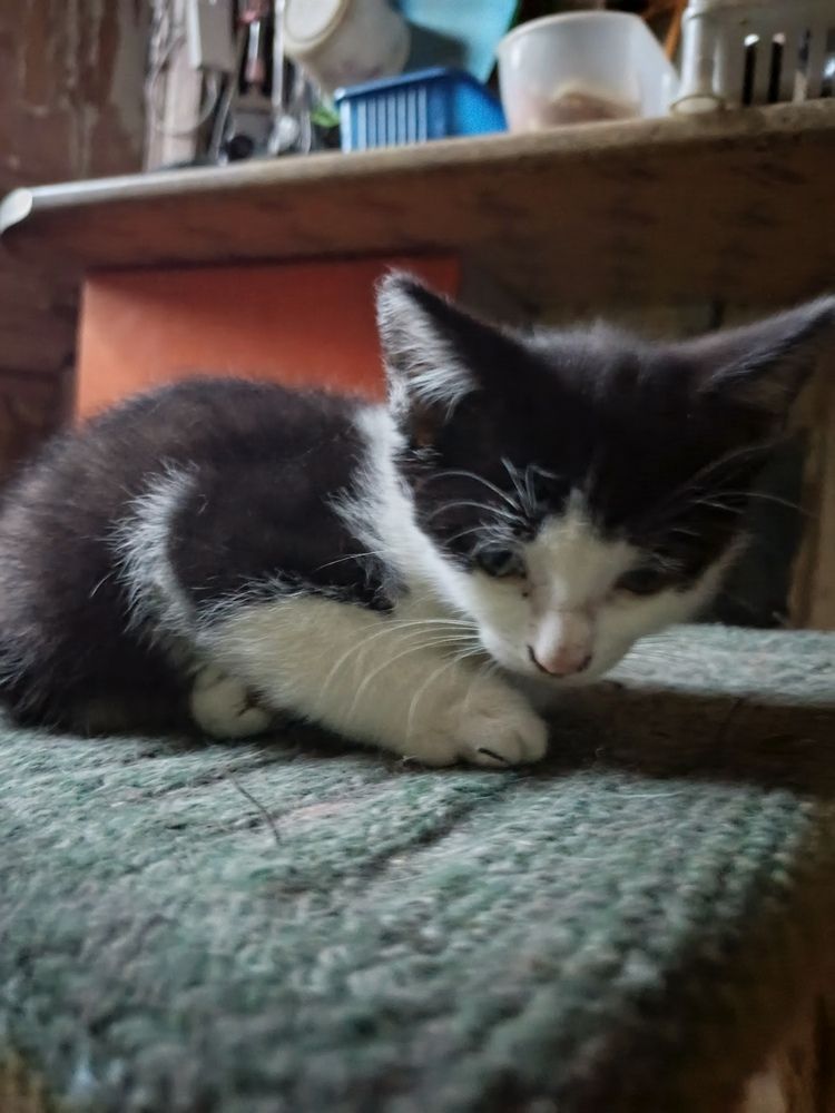 Photograph by Алексей Левичев