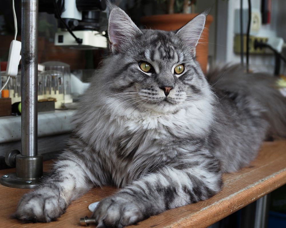 Photograph by Александр Луппов